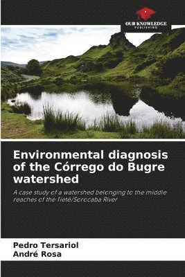 bokomslag Environmental diagnosis of the Córrego do Bugre watershed