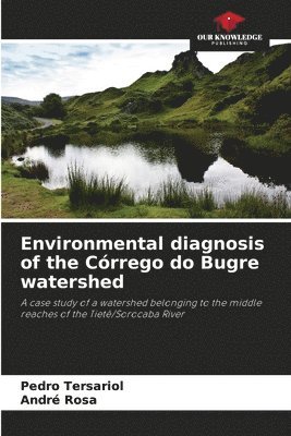 Environmental diagnosis of the Crrego do Bugre watershed 1