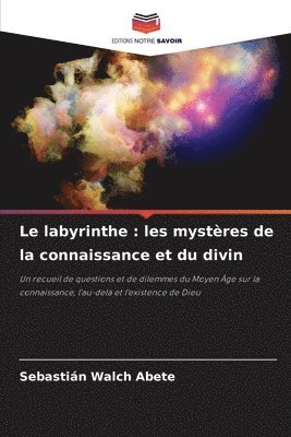 bokomslag labyrinthe