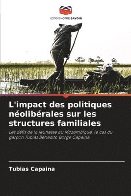 bokomslag L'impact des politiques nolibrales sur les structures familiales