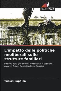 bokomslag L'impatto delle politiche neoliberali sulle strutture familiari