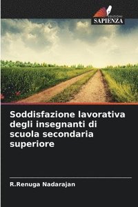 bokomslag Soddisfazione lavorativa degli insegnanti di scuola secondaria superiore