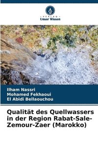 bokomslag Qualität des Quellwassers in der Region Rabat-Sale-Zemour-Zaer (Marokko)