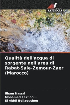 bokomslag Qualit dell'acqua di sorgente nell'area di Rabat-Sale-Zemour-Zaer (Marocco)