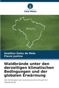 bokomslag Waldbrände unter den derzeitigen klimatischen Bedingungen und der globalen Erwärmung