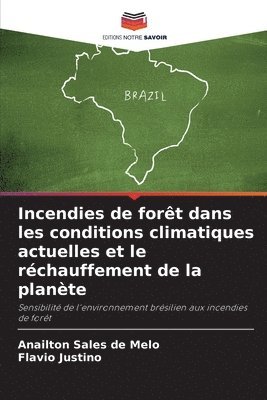 Incendies de forêt dans les conditions climatiques actuelles et le réchauffement de la planète 1