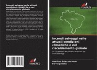 bokomslag Incendi selvaggi nelle attuali condizioni climatiche e nel riscaldamento globale