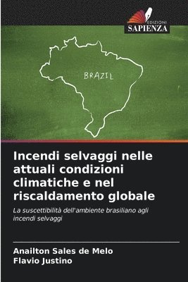 bokomslag Incendi selvaggi nelle attuali condizioni climatiche e nel riscaldamento globale