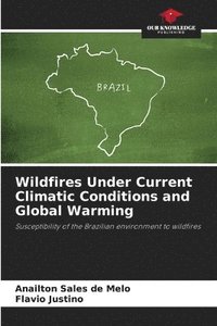 bokomslag Wildfires Under Current Climatic Conditions and Global Warming