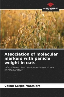 Volmir Sergio Marchioro - Association of molecular markers with panicle weight in oats, Häftad