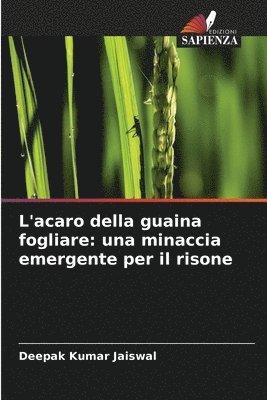 L'acaro della guaina fogliare: una minaccia emergente per il risone 1