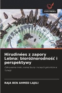 bokomslag Hirudines z zapory Lebna