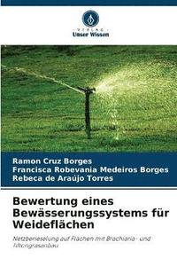 bokomslag Bewertung eines Bewsserungssystems fr Weideflchen