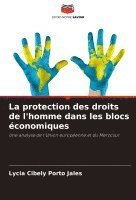 protection des droits de l'homme dans les blocs économiques