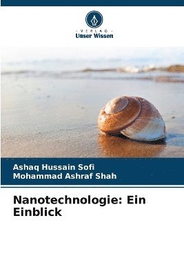 bokomslag Nanotechnologie