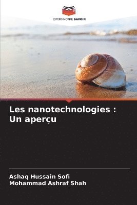 Les nanotechnologies