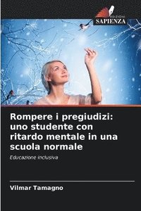 bokomslag Rompere i pregiudizi