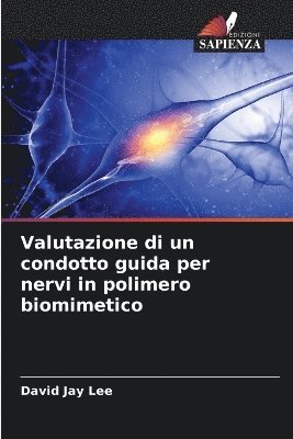 Valutazione di un condotto guida per nervi in polimero biomimetico 1