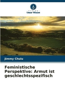 bokomslag Feministische Perspektive