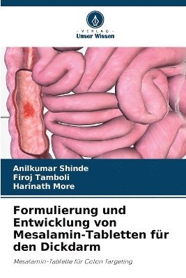 Anilkumar Shinde, Firoj Tamboli, Harinath More - Formulierung und Entwicklung von Mesalamin-Tabletten für den Dickdarm, Häftad