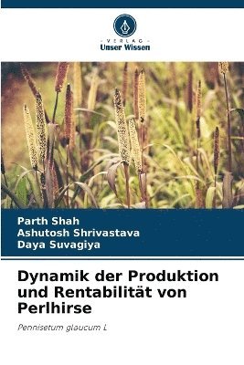 bokomslag Dynamik der Produktion und Rentabilitt von Perlhirse