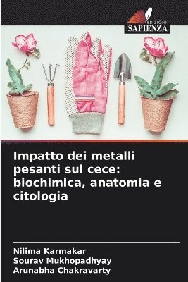 Impatto dei metalli pesanti sul cece 1