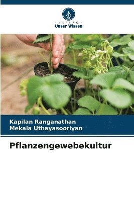 Pflanzengewebekultur 1