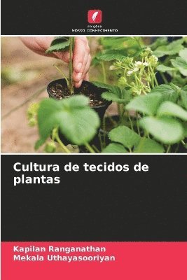 bokomslag Cultura de tecidos de plantas