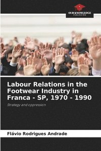 bokomslag Labour Relations in the Footwear Industry in Franca - SP, 1970 - 1990