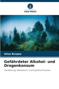 bokomslag Gefährdeter Alkohol- und Drogenkonsum