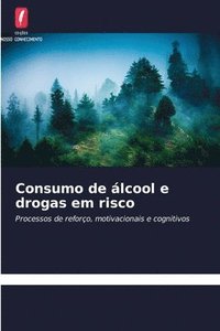 bokomslag Consumo de álcool e drogas em risco
