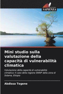 bokomslag Mini studio sulla valutazione della capacit di vulnerabilit climatica