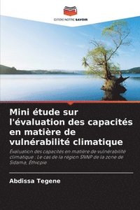 bokomslag Mini tude sur l'valuation des capacits en matire de vulnrabilit climatique