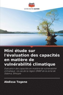 bokomslag Mini tude sur l'valuation des capacits en matire de vulnrabilit climatique