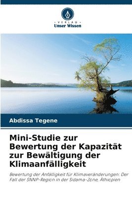 bokomslag Mini-Studie zur Bewertung der Kapazitt zur Bewltigung der Klimaanflligkeit