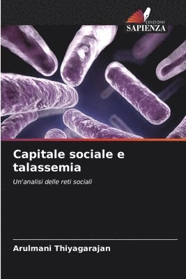 bokomslag Capitale sociale e talassemia