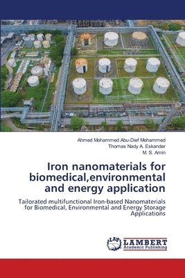 bokomslag Iron nanomaterials for biomedical, environmental and energy application