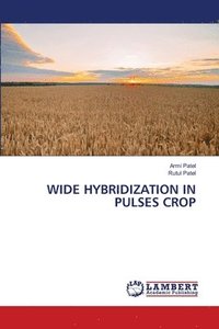 bokomslag Wide Hybridization in Pulses Crop