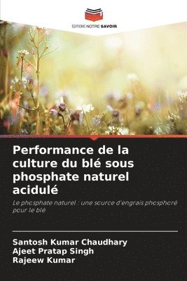 bokomslag Performance de la culture du blé sous phosphate naturel acidulé