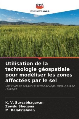 bokomslag Utilisation de la technologie gospatiale pour modliser les zones affectes par le sel