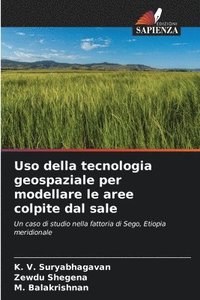 bokomslag Uso della tecnologia geospaziale per modellare le aree colpite dal sale