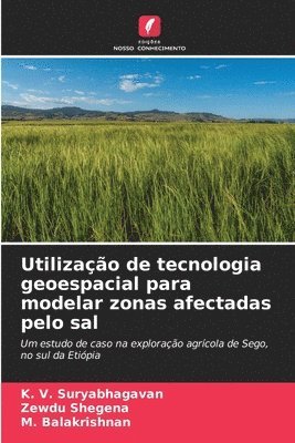 K V Suryabhagavan, Zewdu Shegena, M Balakrishnan, K. V. Suryabhagavan, M. Balakrishnan - Utilização de tecnologia geoespacial para modelar zonas afectadas pelo sal, Häftad