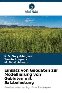 bokomslag Einsatz von Geodaten zur Modellierung von Gebieten mit Salzbelastung