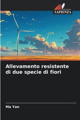 Allevamento resistente di due specie di fiori 1