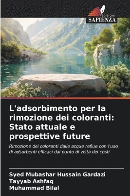 bokomslag L'adsorbimento per la rimozione dei coloranti