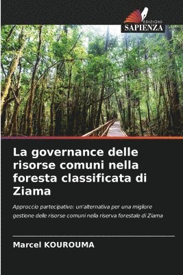 bokomslag La governance delle risorse comuni nella foresta classificata di Ziama