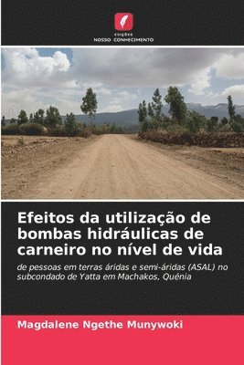 bokomslag Efeitos da utilização de bombas hidráulicas de carneiro no nível de vida
