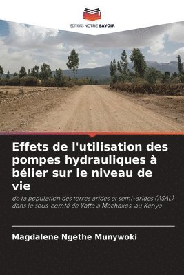 bokomslag Effets de l'utilisation des pompes hydrauliques  blier sur le niveau de vie