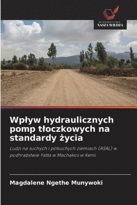 Wplyw hydraulicznych pomp tloczkowych na standardy &#380;ycia 1