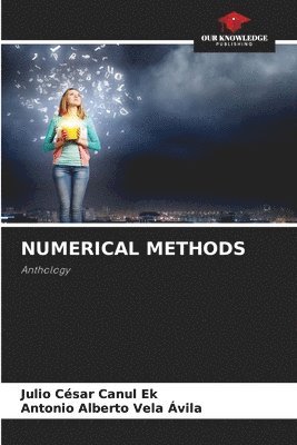 bokomslag Numerical Methods